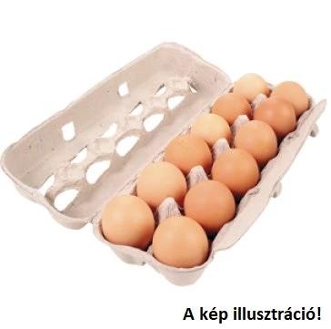 TOJÁS DOBOZOS ‘M’ 10DB