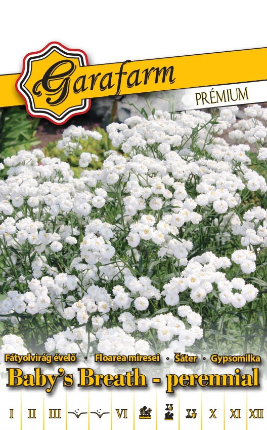 Garafarm Premium virág Évelő fátyolvirág Fehér 0,3g