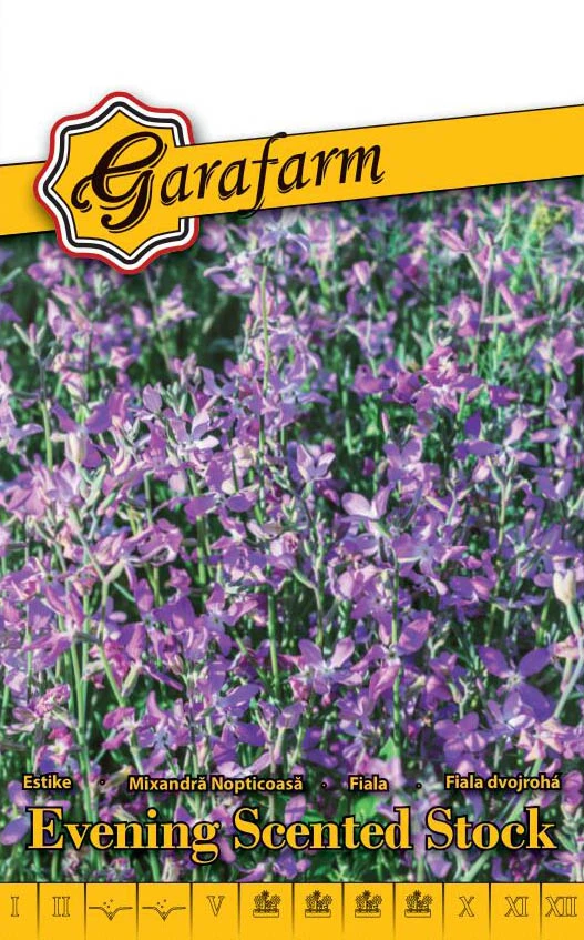 Garafarm virág Estike Lilásrózsaszín 1g