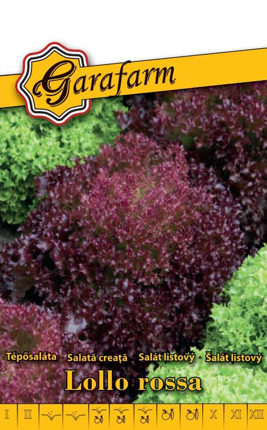 Garafarm zöldség Tépősaláta Lollo rossa 2g