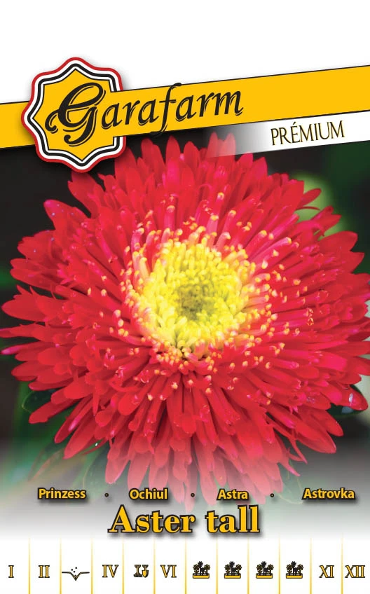 Garafarm Premium virág Őszirózsa Prinzess piros 1g