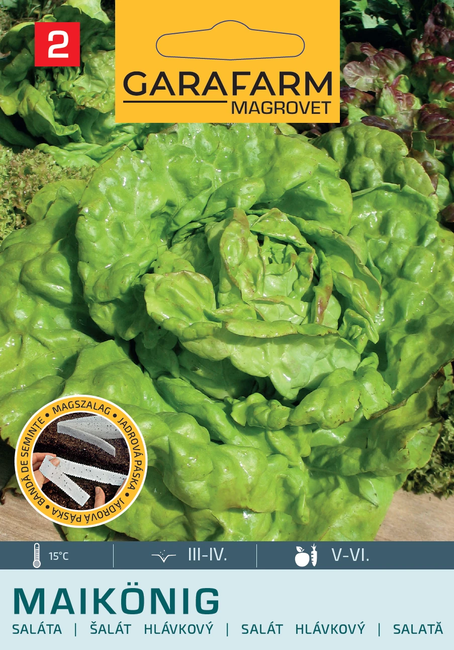 Garafarm Magszalag Saláta Május királya 4mag