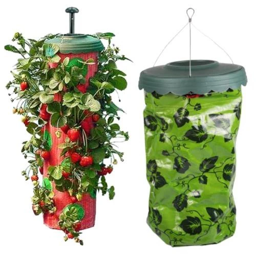 Akasztós eper termesztő zsák